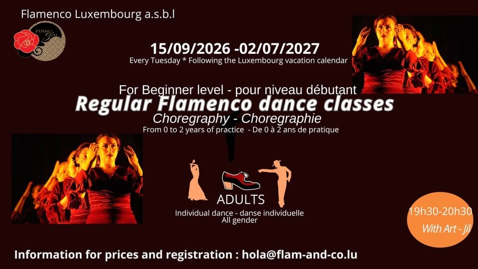 Flamenco adultes débutants : chorégraphie chaque mardi