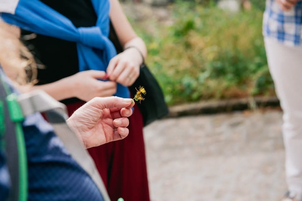 “Discovering Insects” Workshop