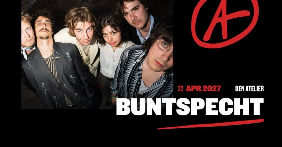 Buntspecht à Luxembourg
