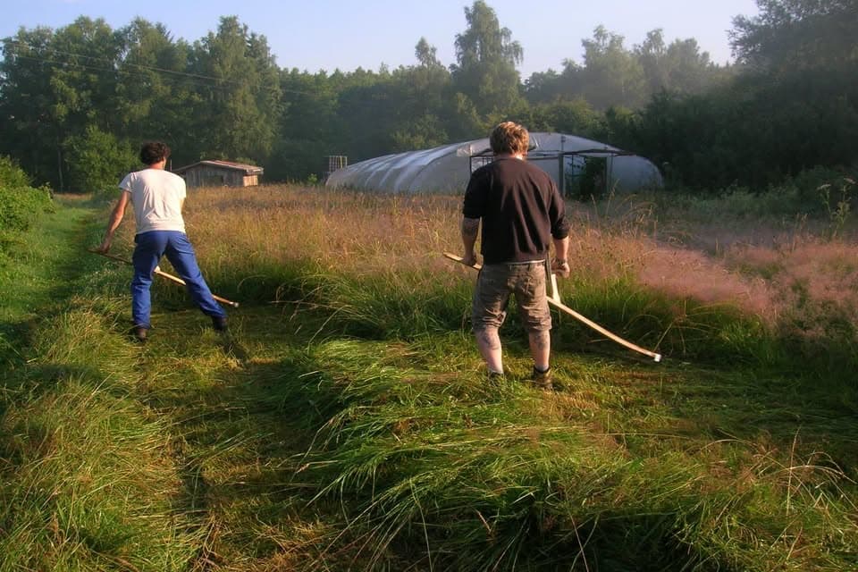 Atelier de fauche manuelle