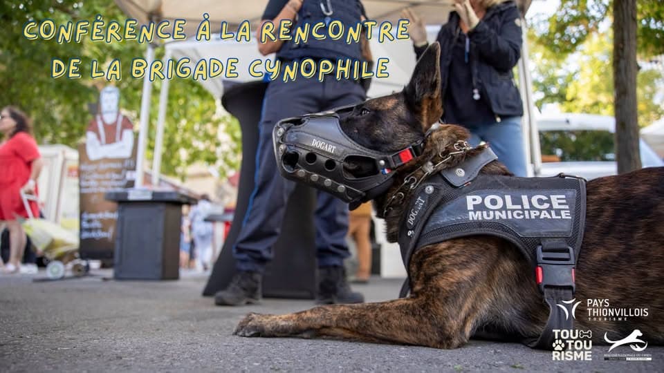 Talk with the Canine Unit