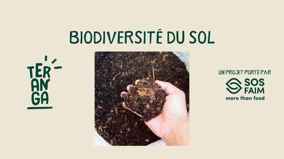 La biodiversité du sol : atelier théorique et pratique