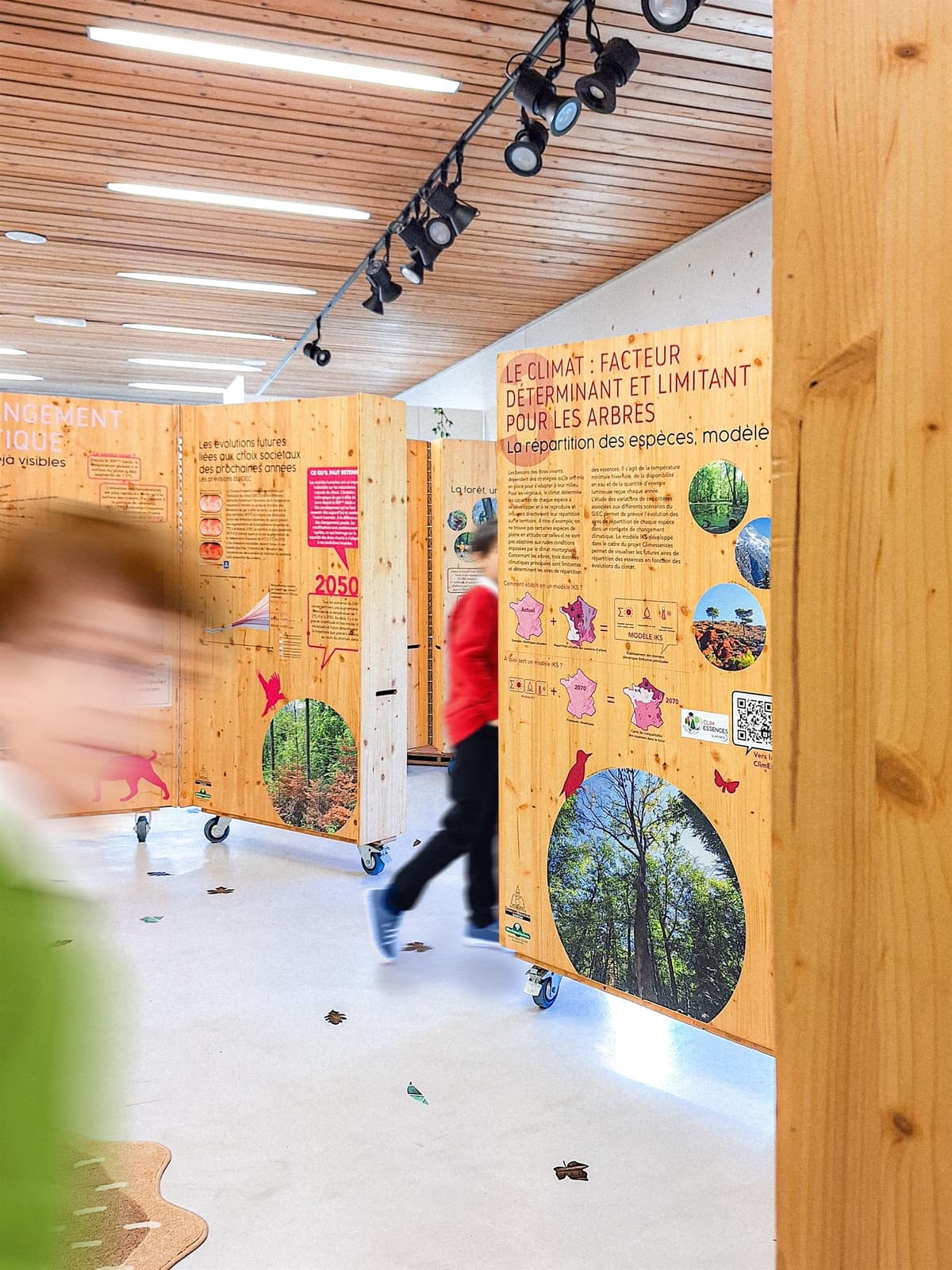 Exhibition - The Forests of the Grand Est Facing Climate Change