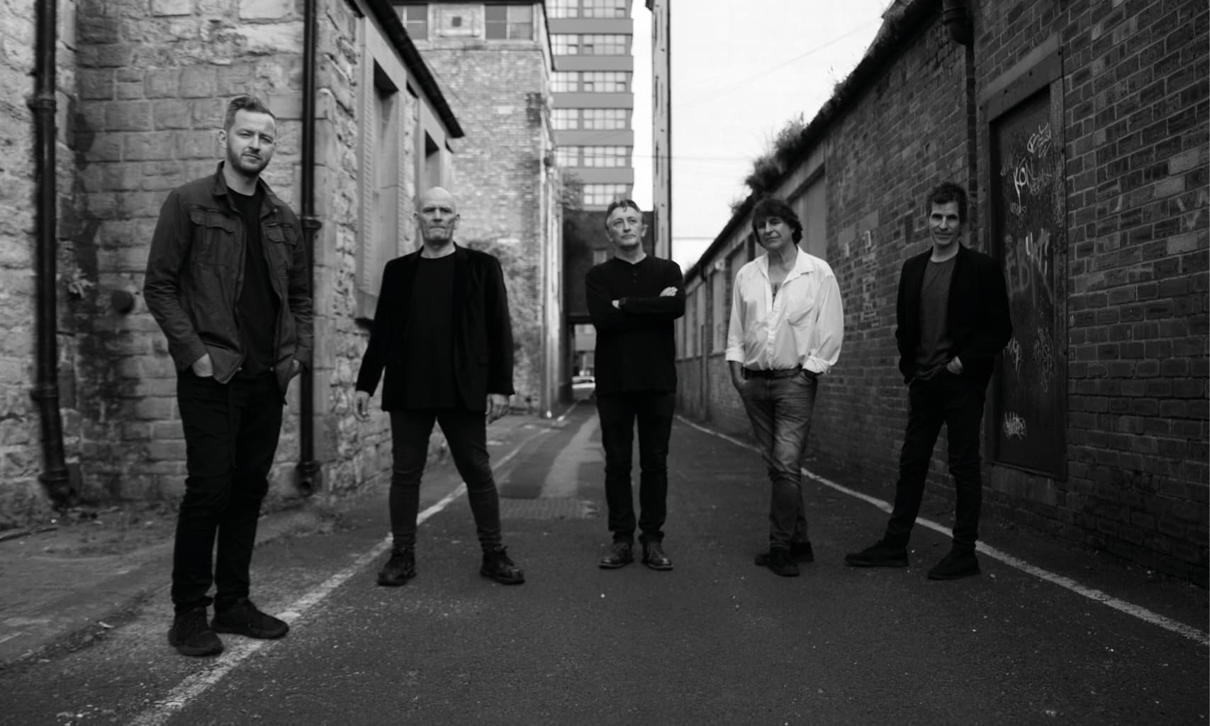 The Chameleons
