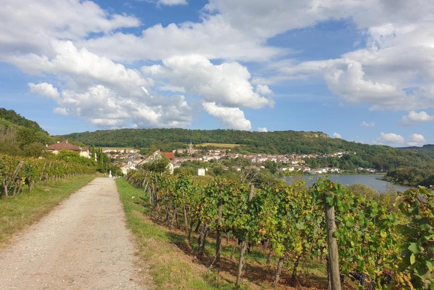 Interactive trail "Paul's Wine Quest"