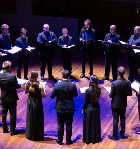 Vox Luminis