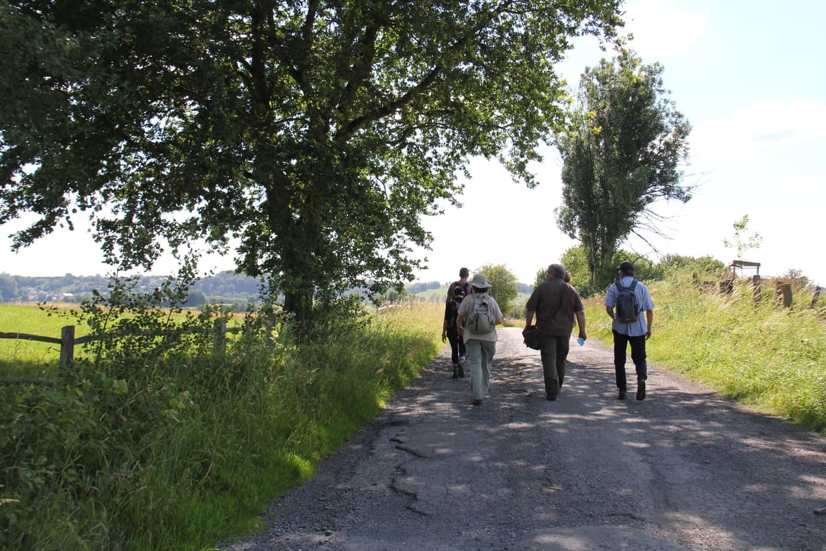 Guided walk: Conques, a grandiose site