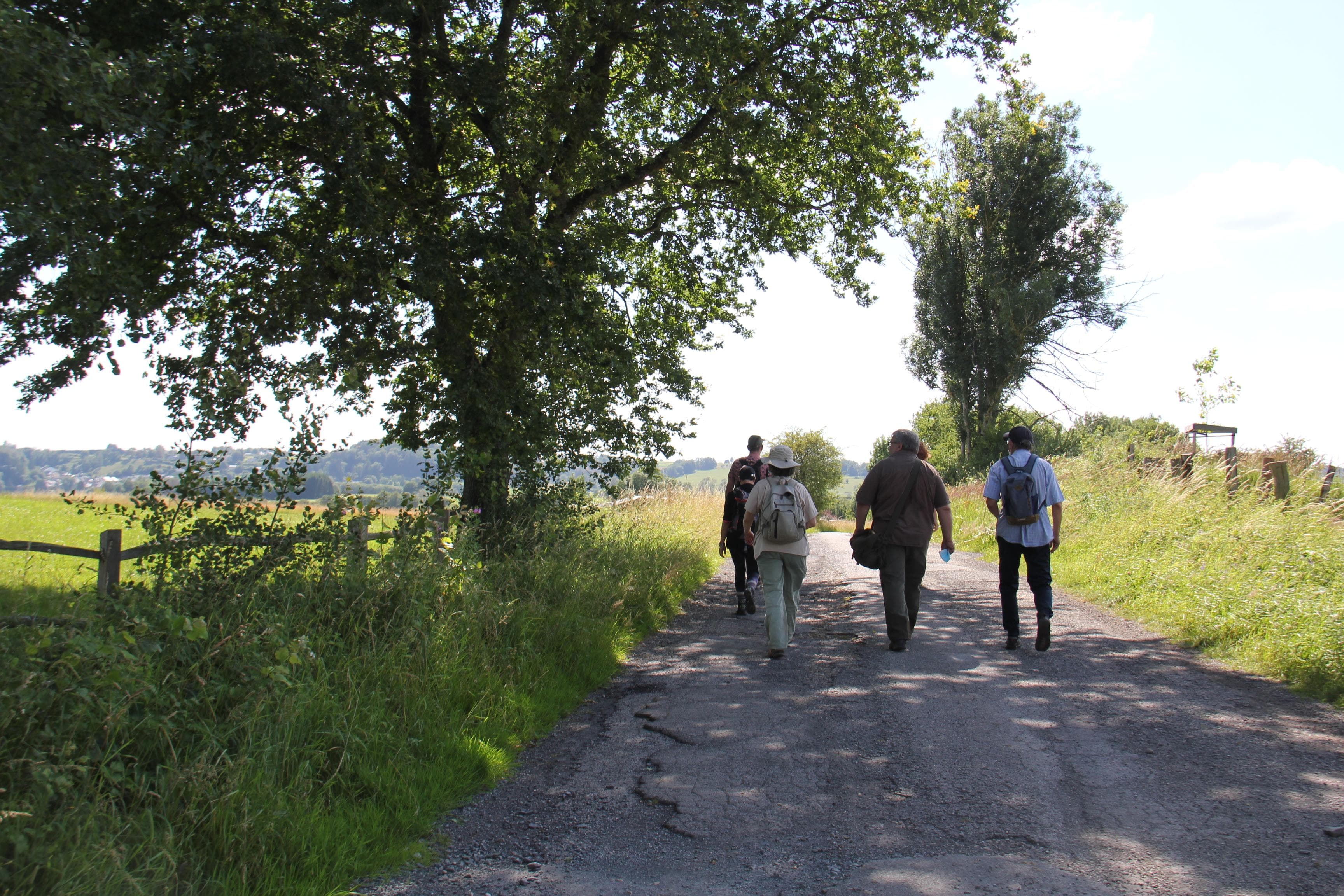 Guided walk: Conques, a grandiose site