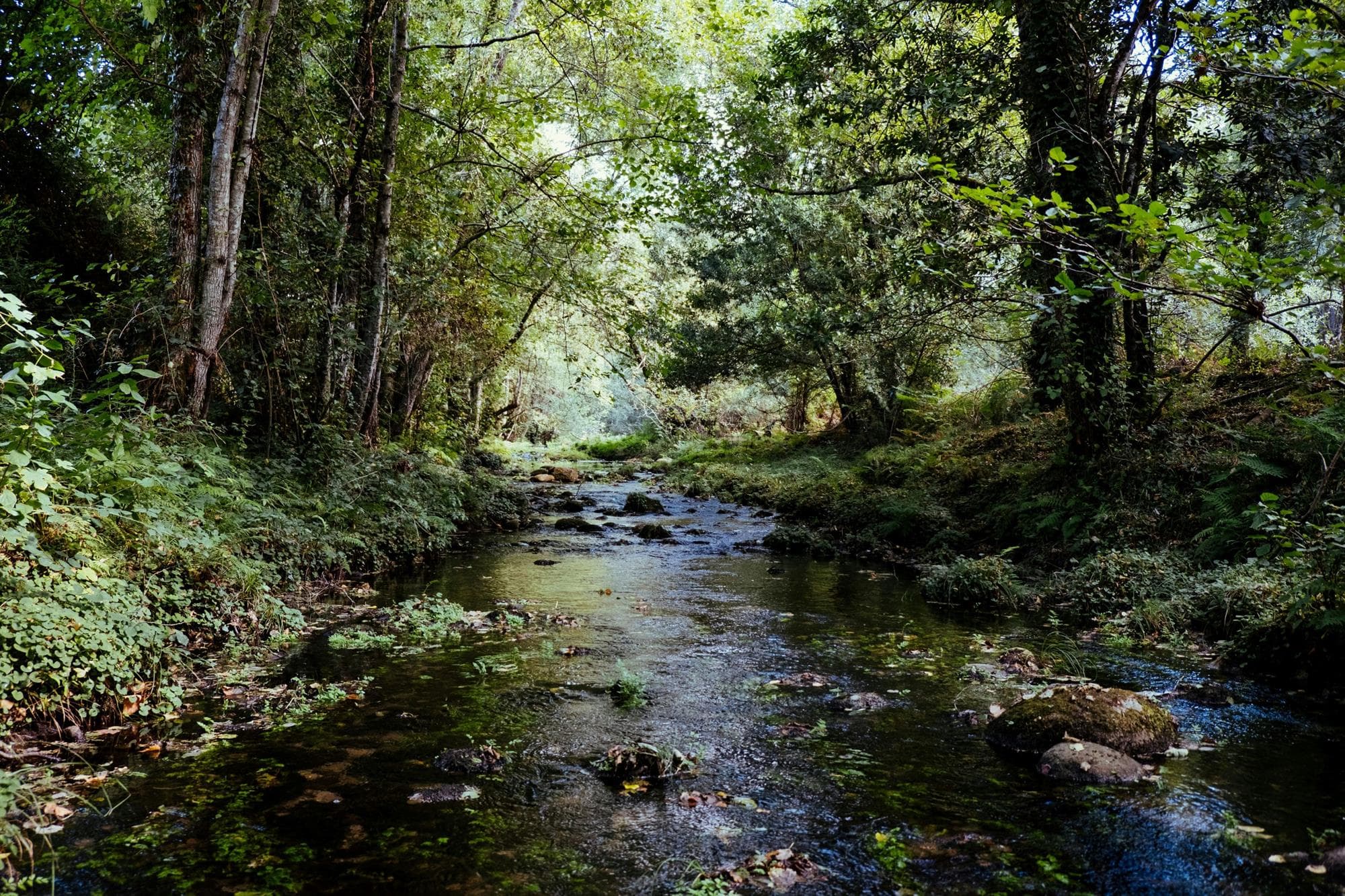 Nature Fun - Eau'Ruisseaux