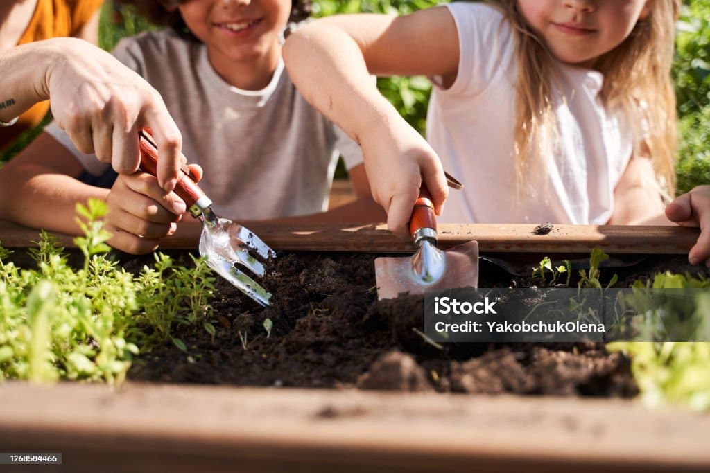 Nature Day - Garden Operation!