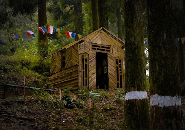 Journée nature - Ta cabane en forêt