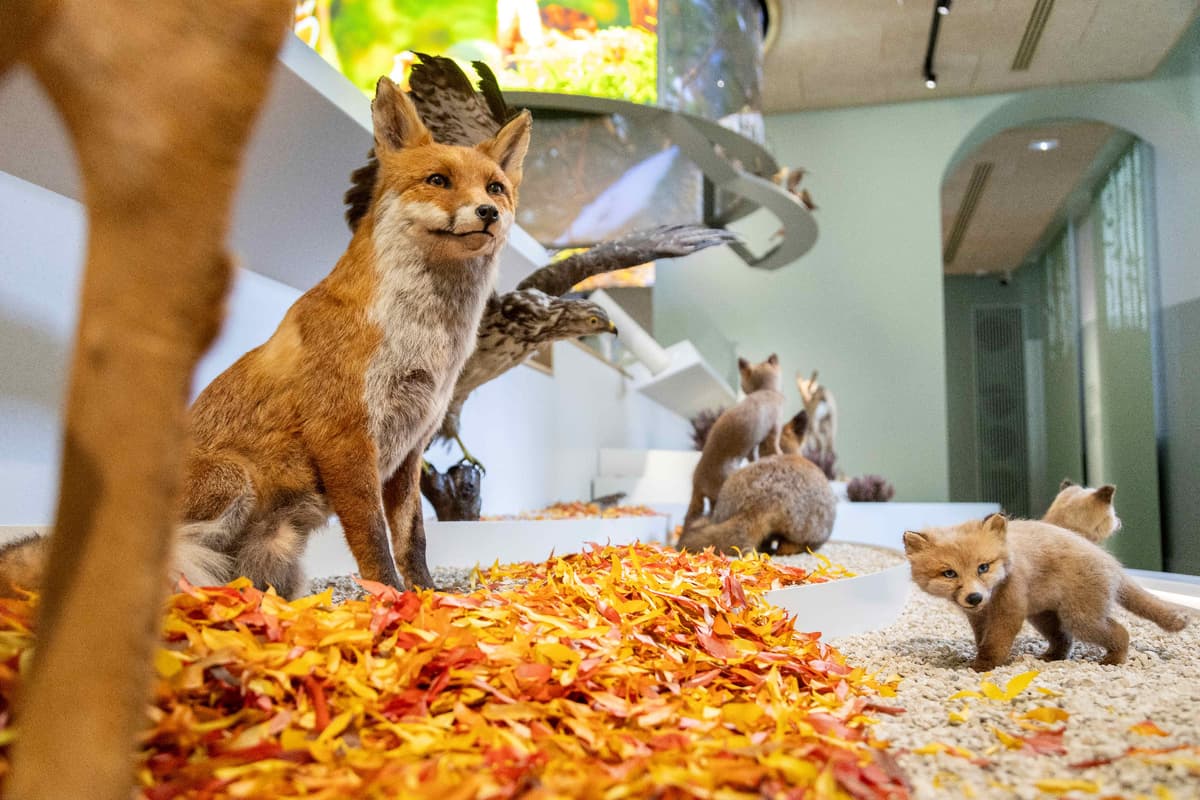 Visite familles La petite vadrouille au Pavillon