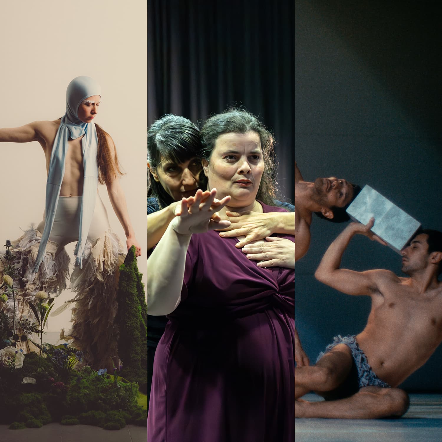 The Pigeon Dance / Entre Deux Corps / Inlet
