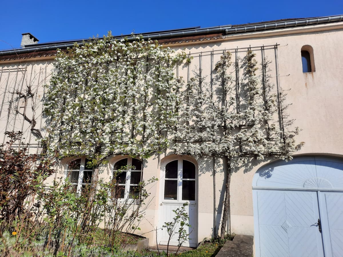 Introduction : Façade végétalisée