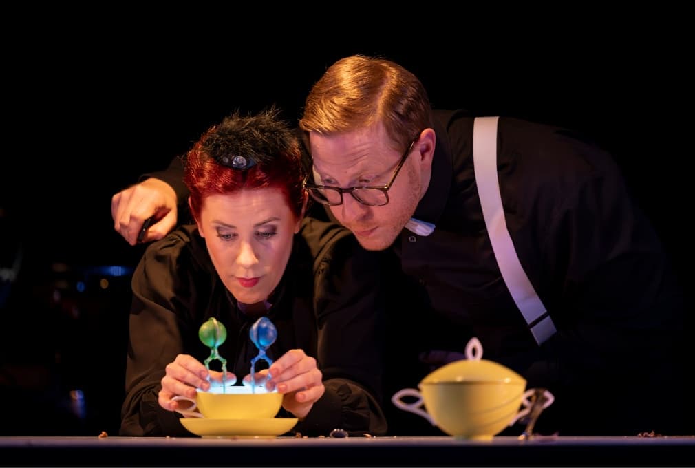 Inclusion in the performing arts