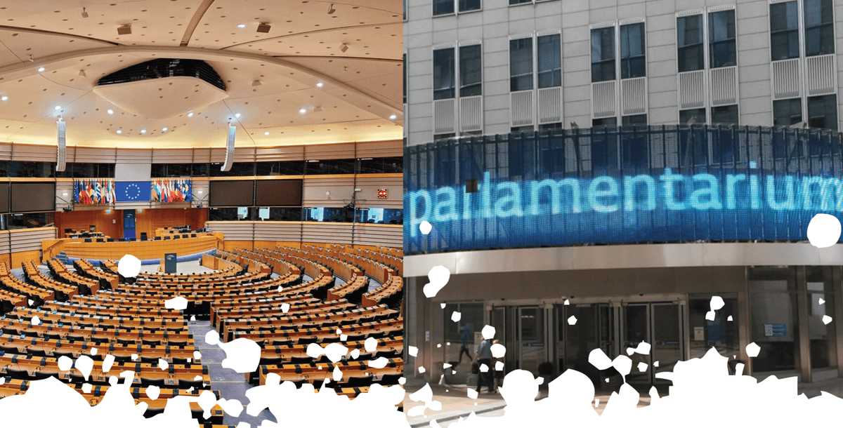 Visite du Parlement européen