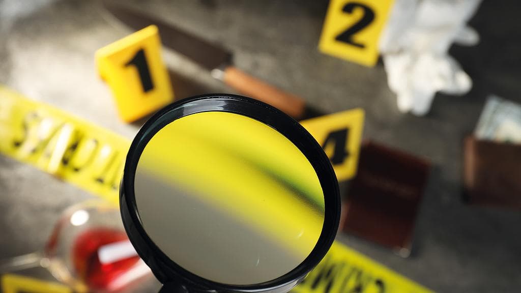 Museum Mystery for ages 11-13