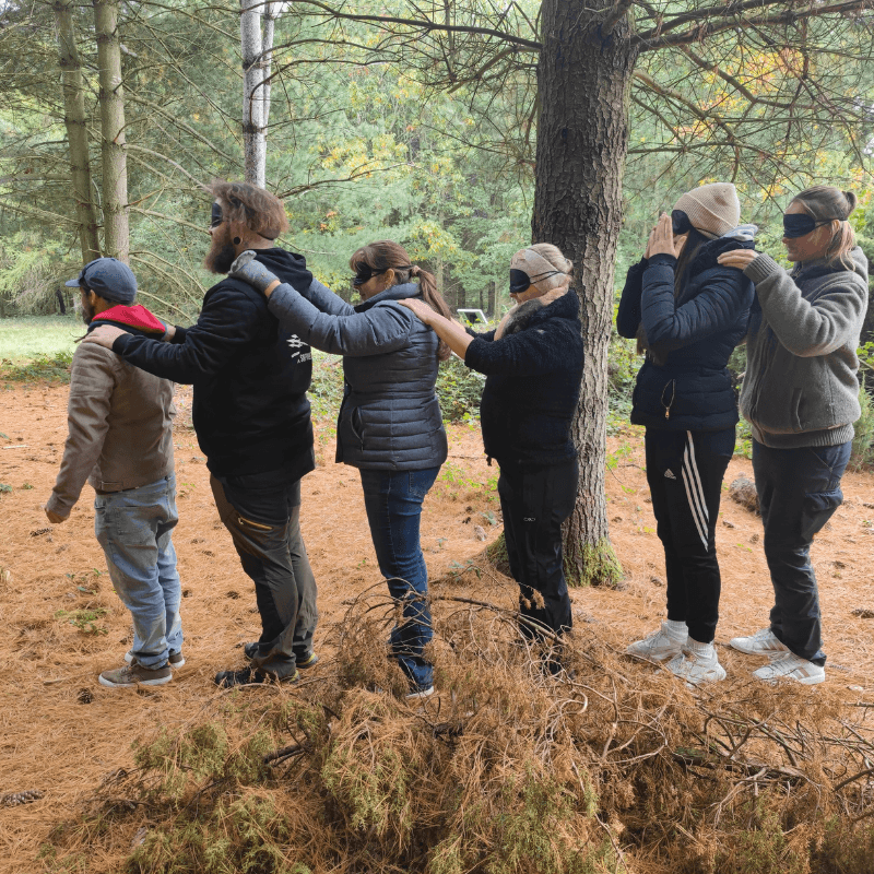 Forest, play and fun – experiencing movement in a natural environment