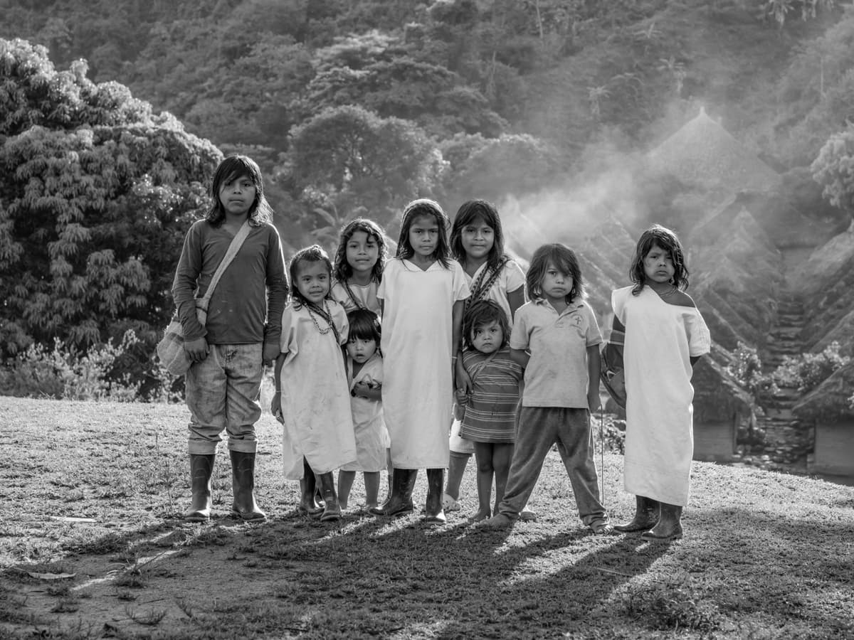 Sierra Nevada Natives