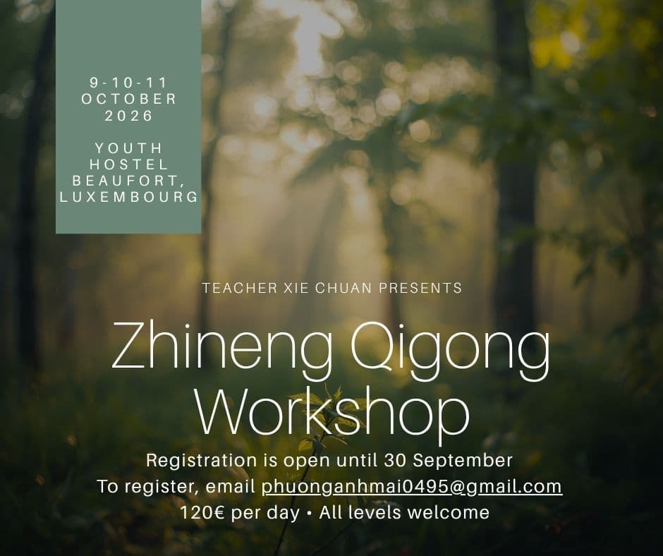 Zhineng Qigong - Healing Workshop