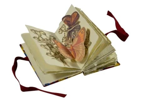 Livres d'artistes La nature à l'œuvre