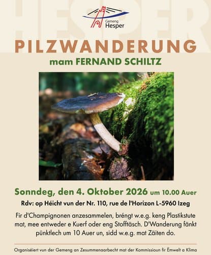 Randonnée aux champignons