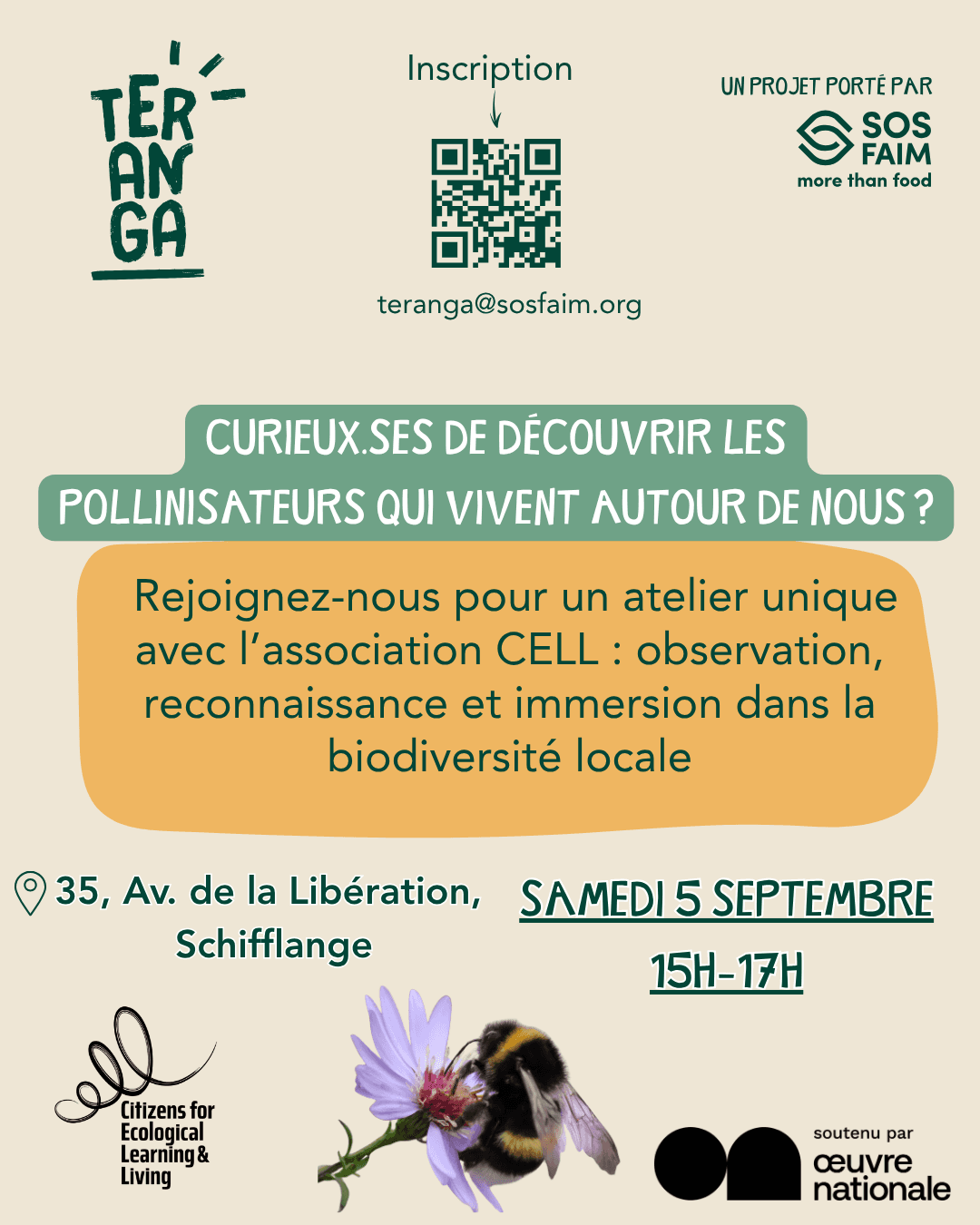 Discovering the pollinators around us by Teranga