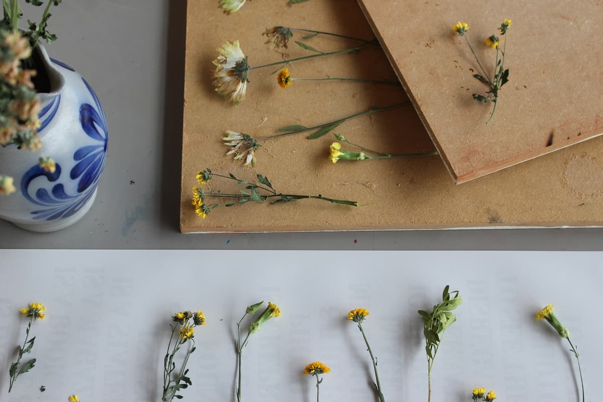 Fabriquer une presse à fleurs