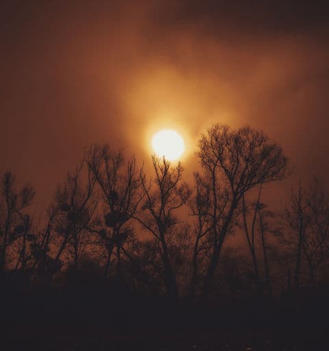 Riot Ensemble, Juliet Fraser - rainy days