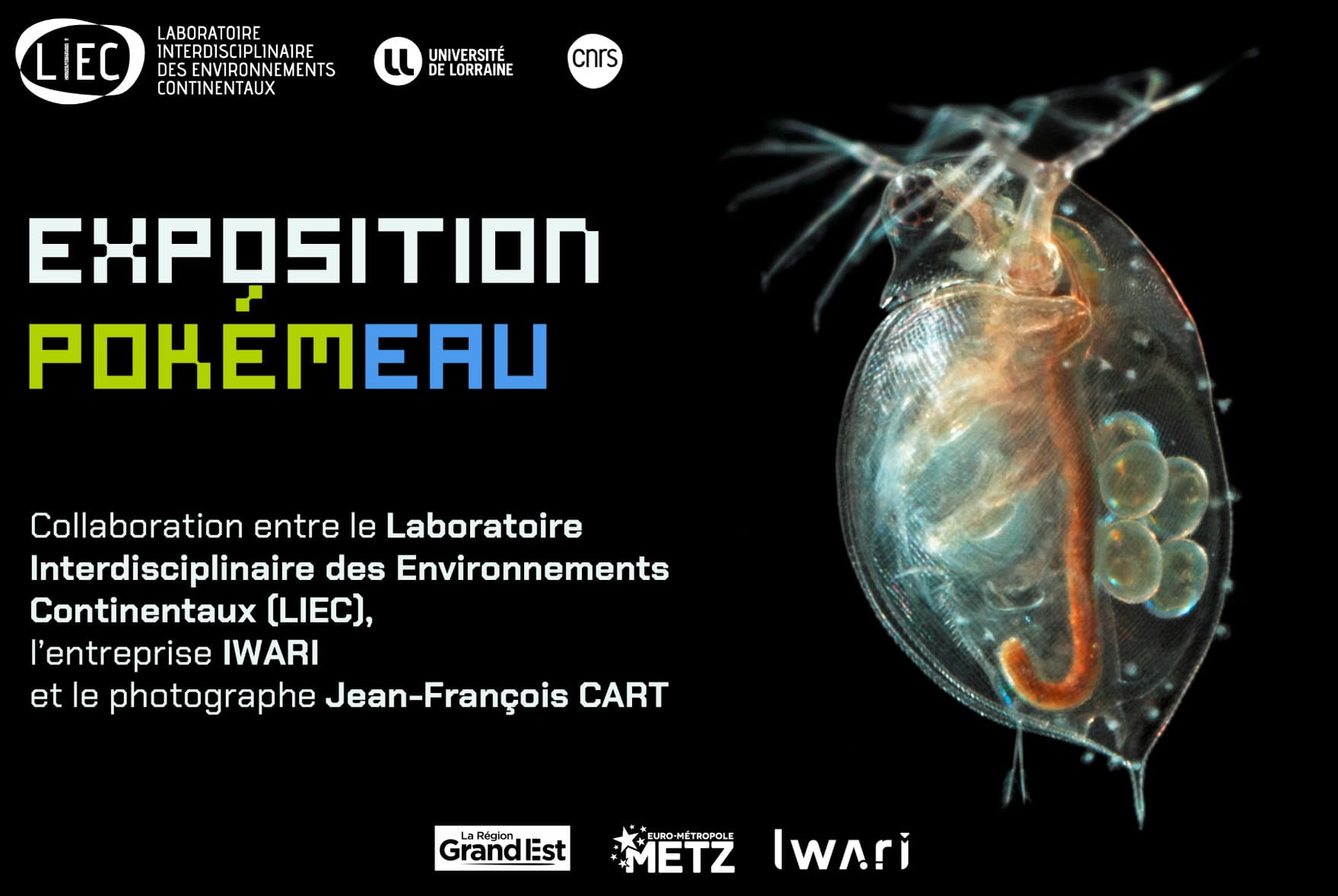 PokémEAU Exhibition