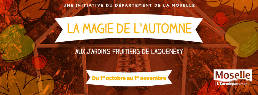 The Magic of Autumn