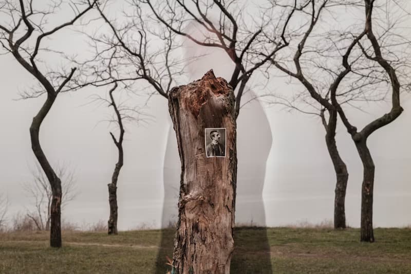 The Future of Photography’s Past