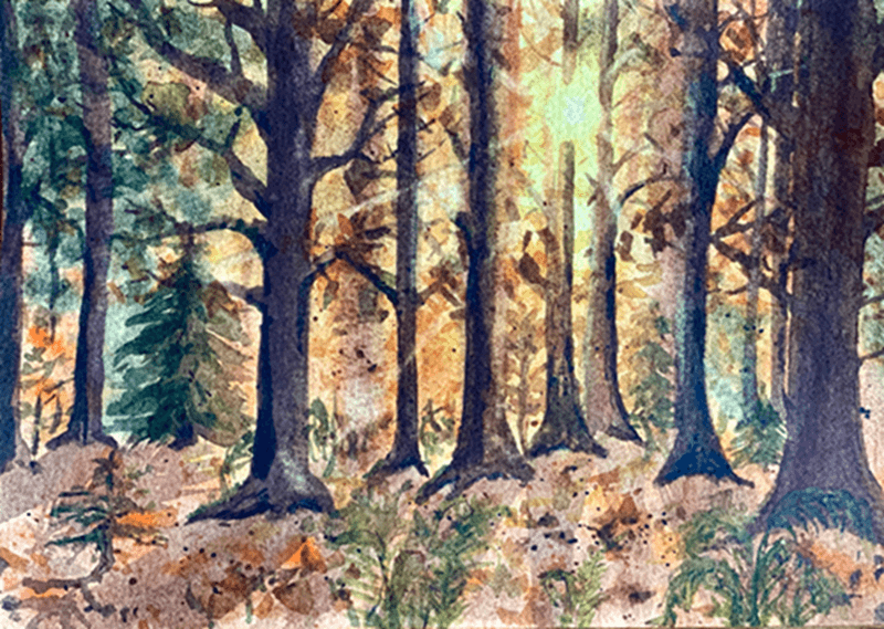 Watercolour Workshop – Autumn Forest