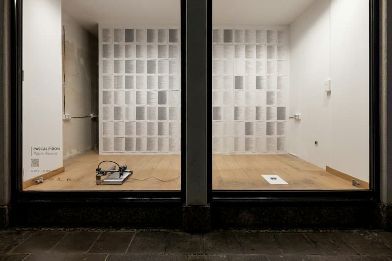 Pascal Piron | Public Record