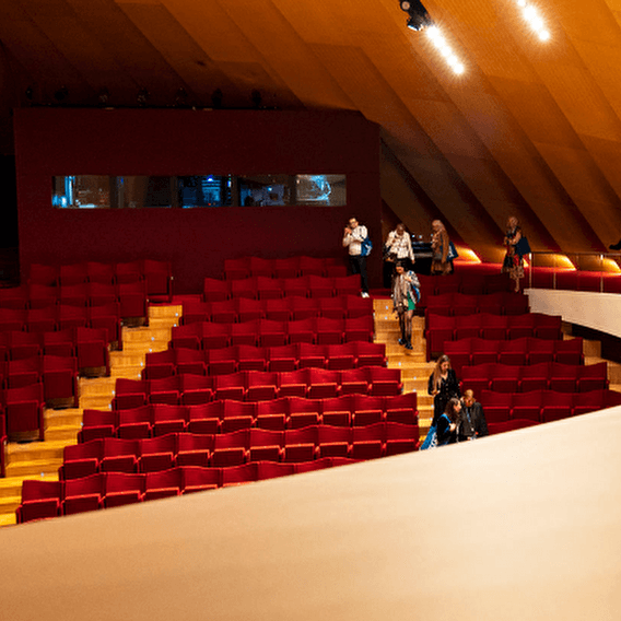 Guided tour of the Philharmonie in English