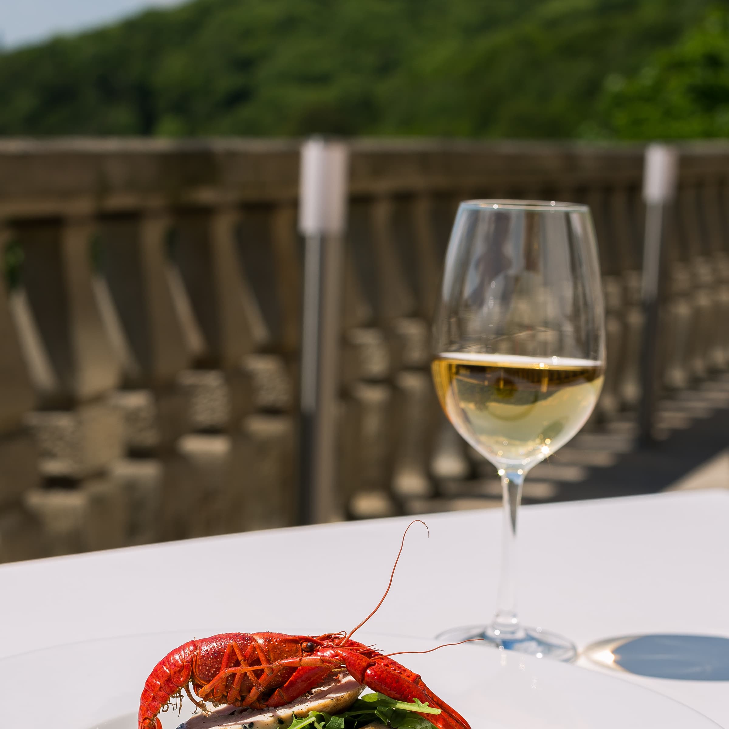 Wine & Dine
