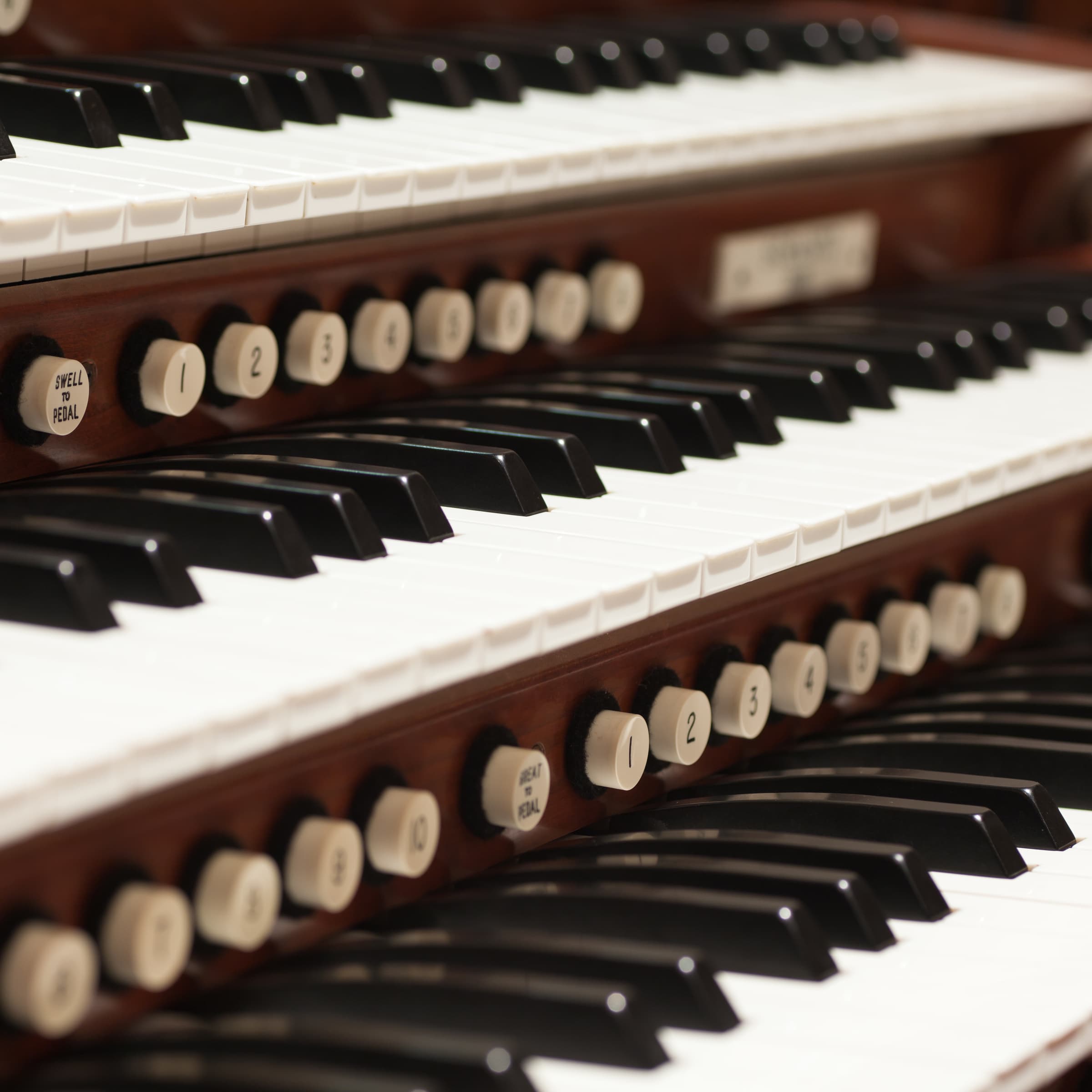 Exhibition opening – Autour de la musique –