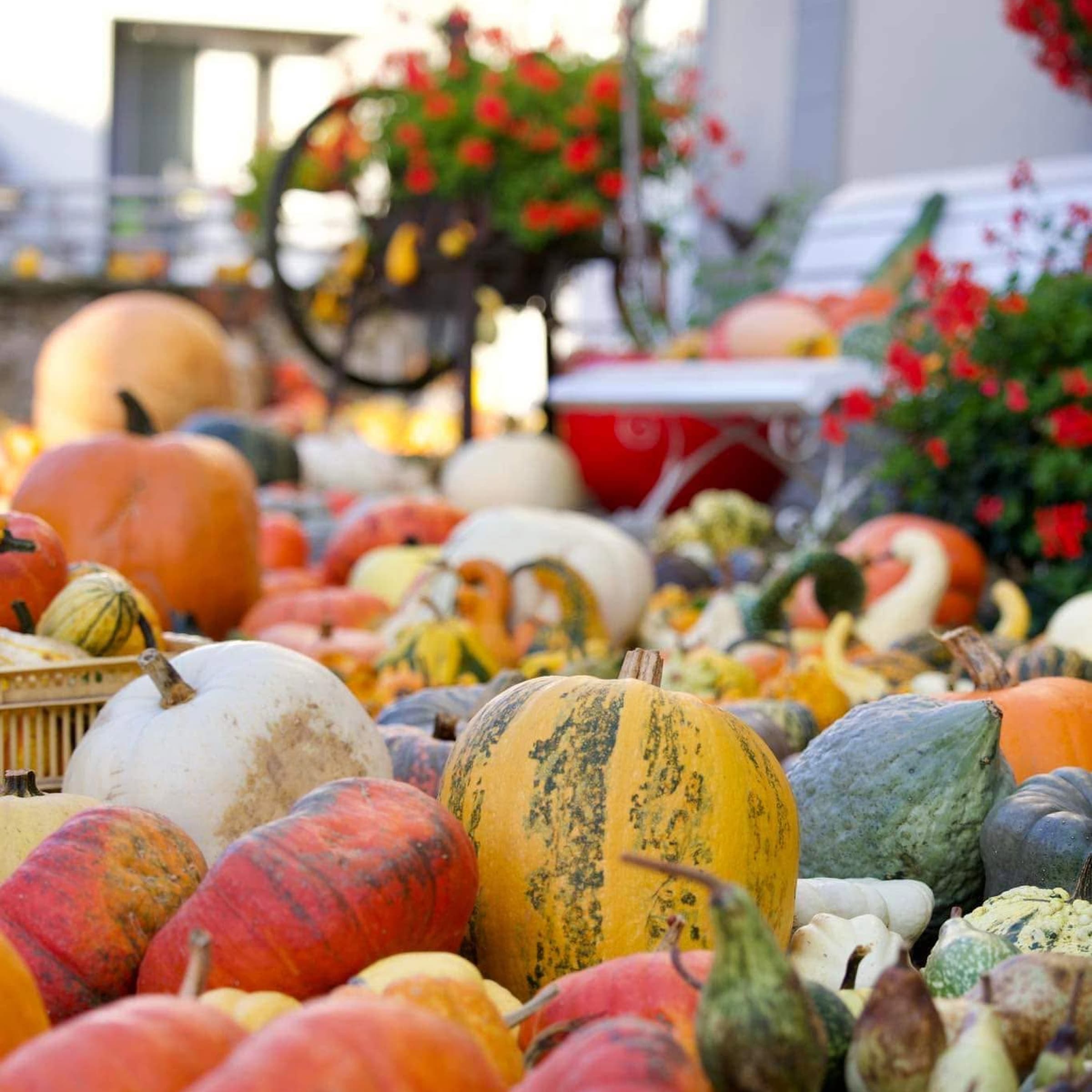 Grand marché d’automne à la ferme Hahn