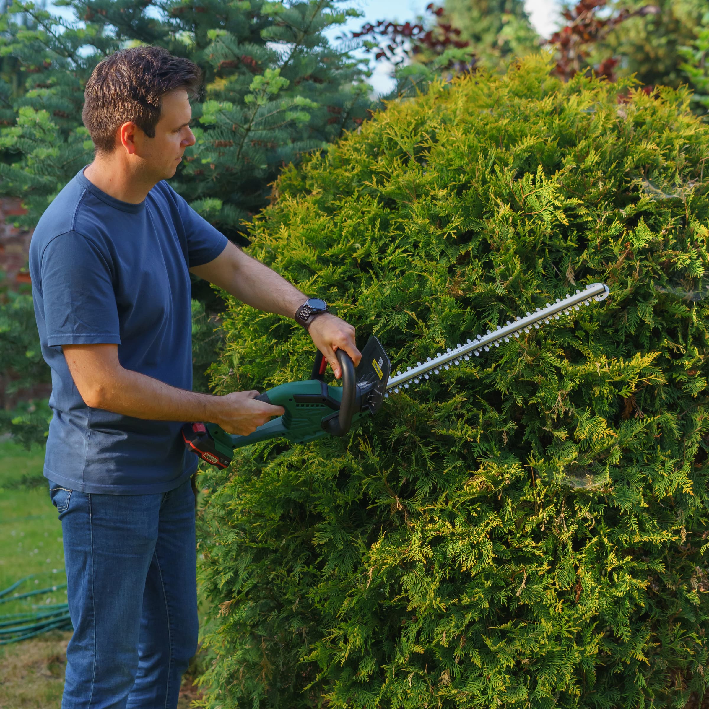 Hedge Trimming Training