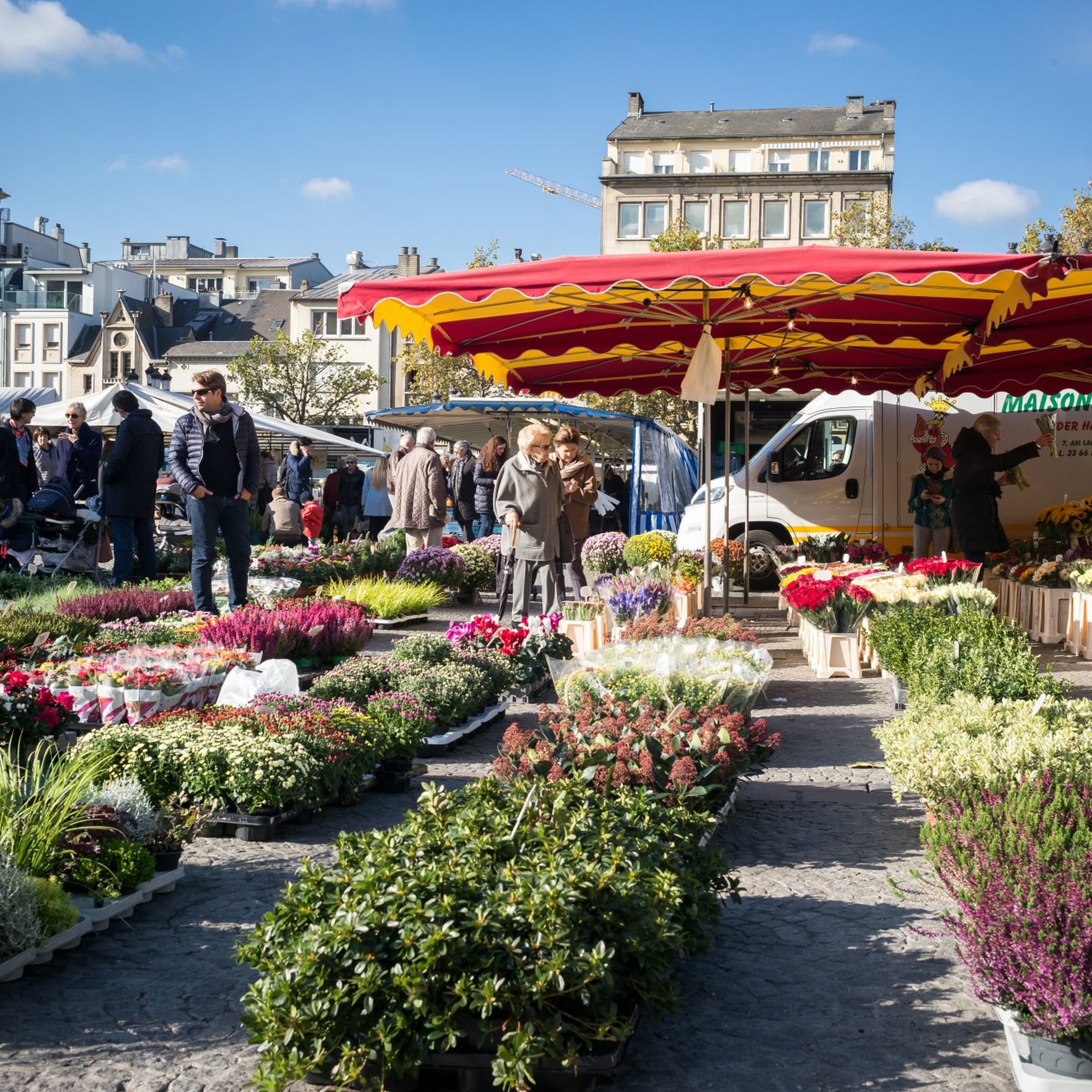 Viens faire un tour aux marchés de la capitale - 1
