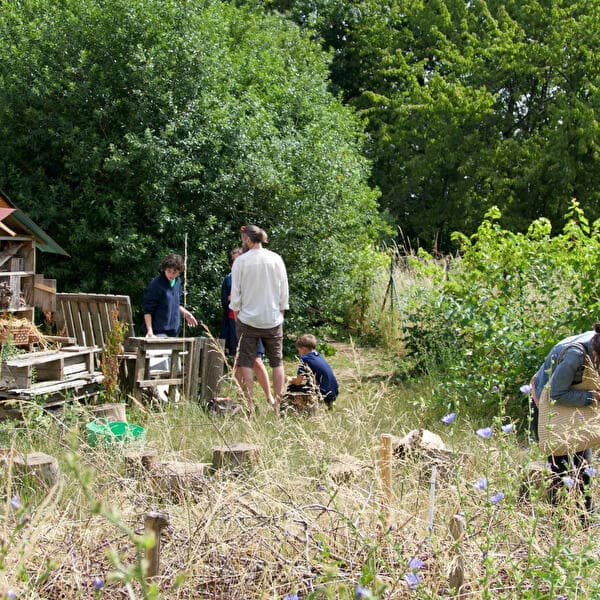 Shared Garden