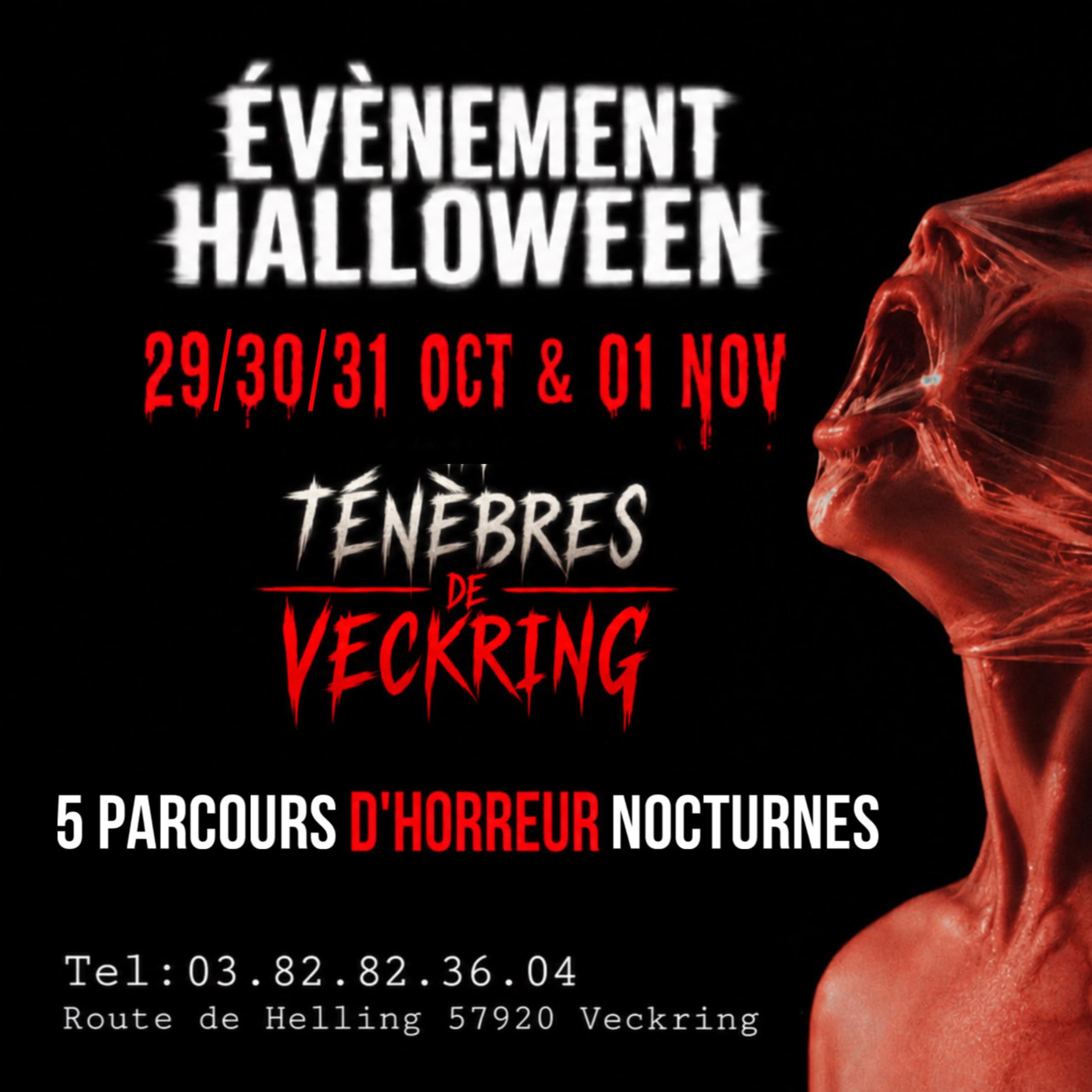 The Darkness of Veckring