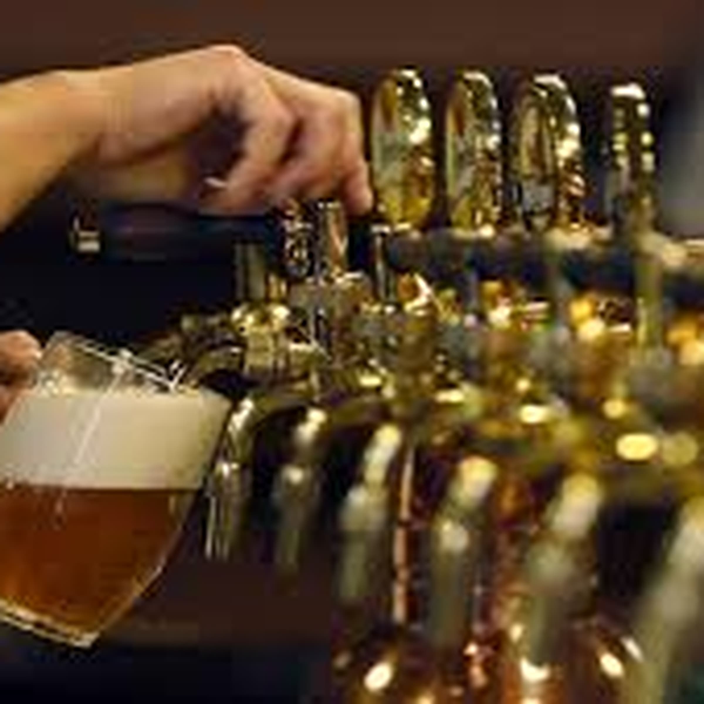 Guided Tour & Tasting
