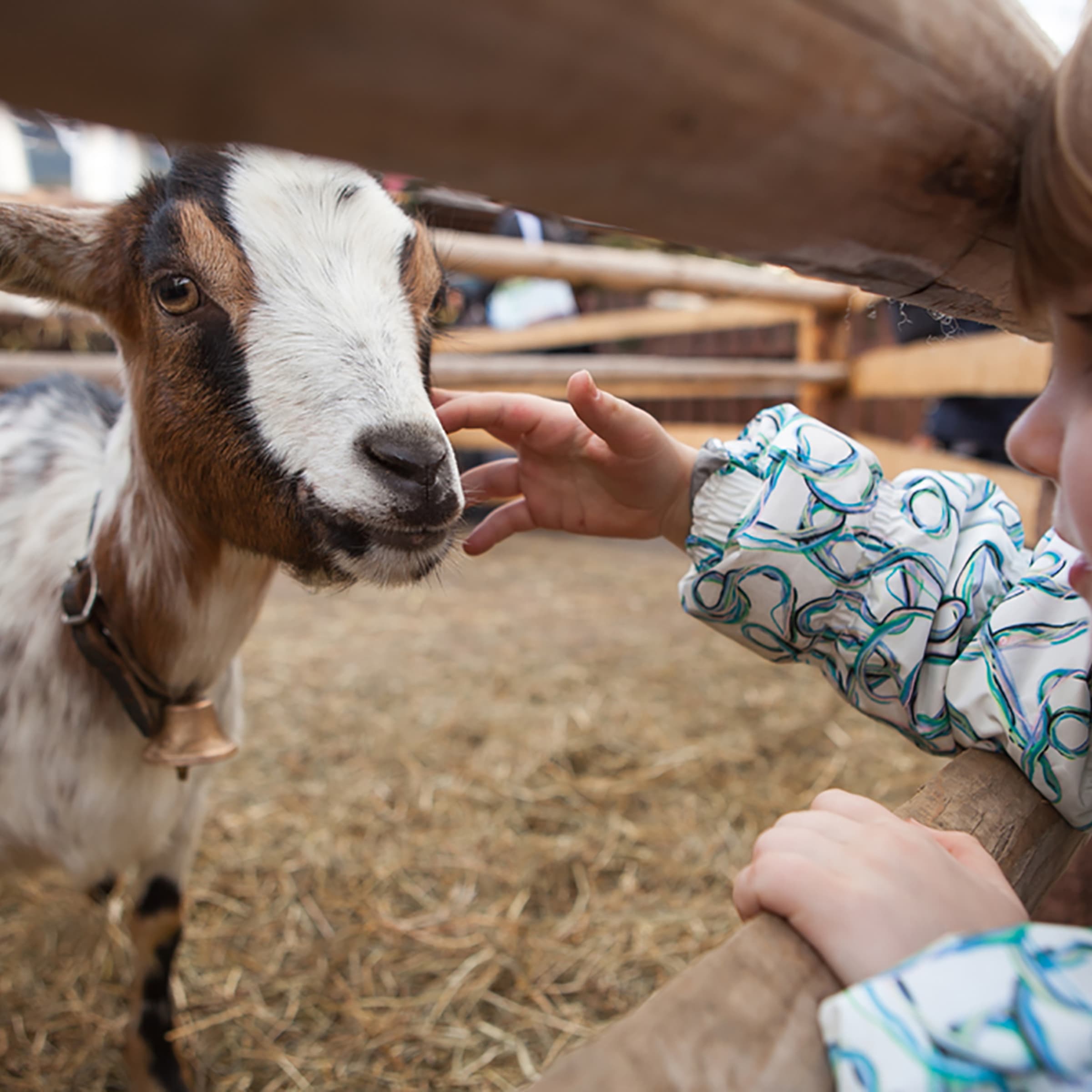 Atelier en famille : les abeilles, au cœur de la biodiversité