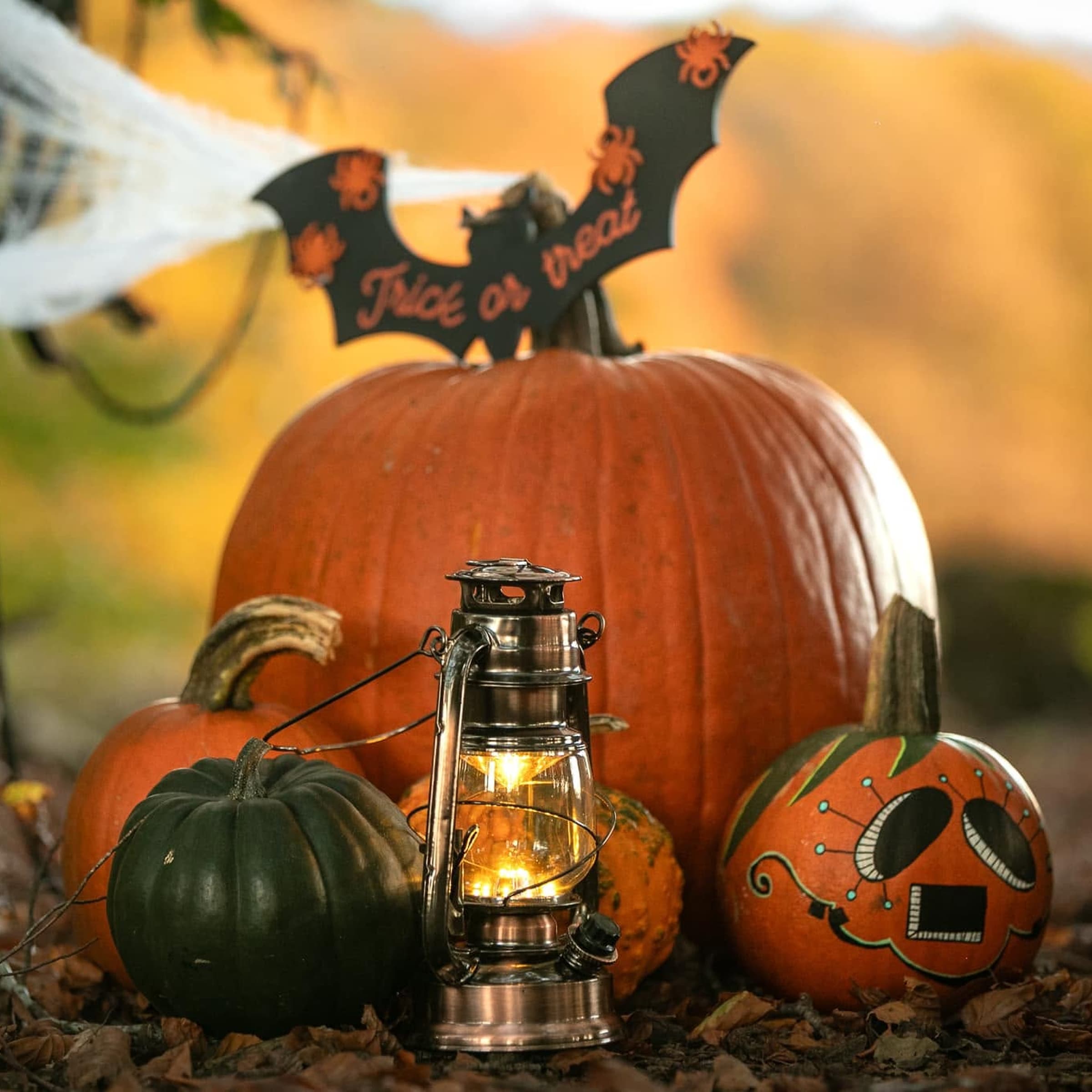 Halloween is approaching: find your pumpkin! - 1