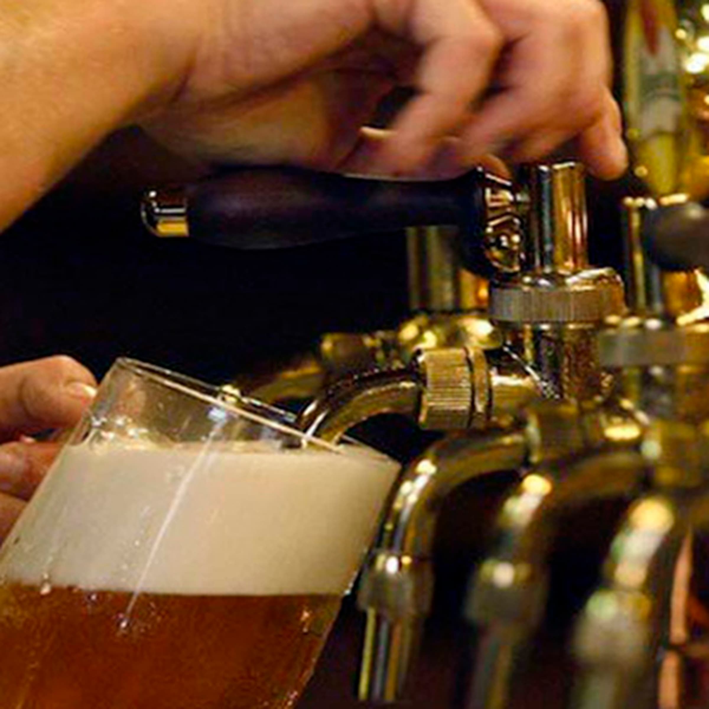 Guided tour and tasting