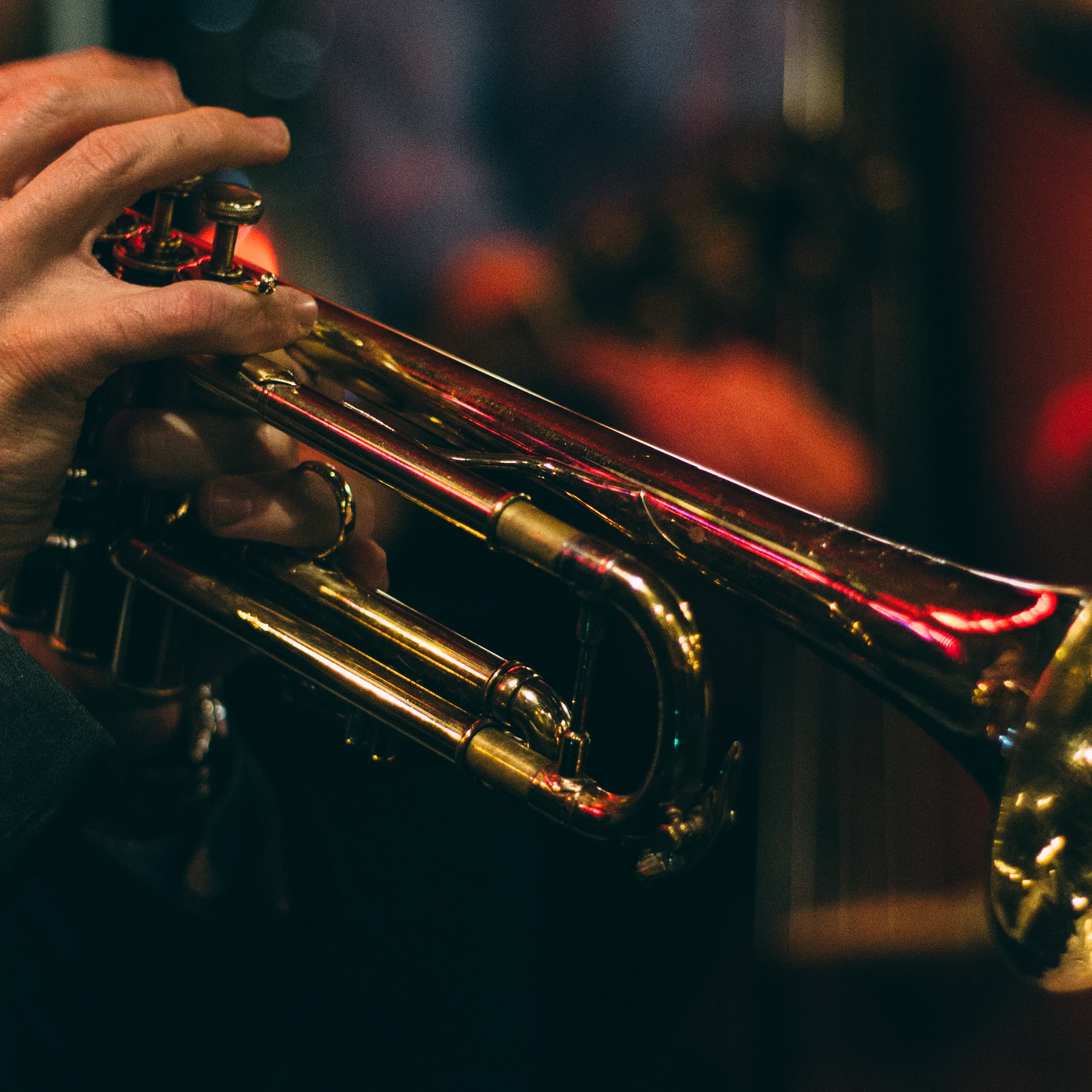 The Gentlemen — Guitar & Double Bass