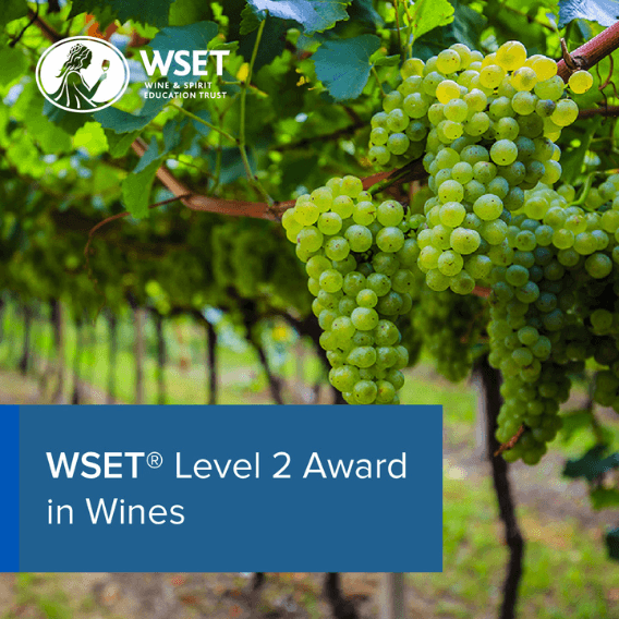 WSET Niveau 2 – Anglais
