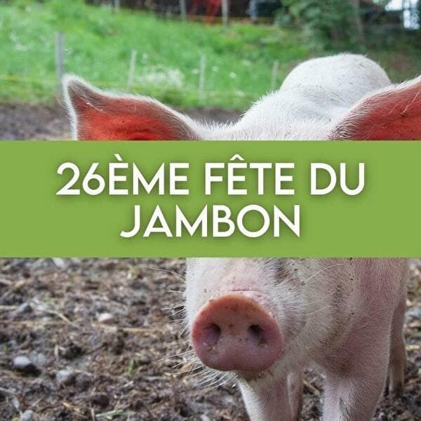 26th Ham Festival