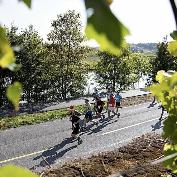 Half-Marathon “Route du Vin”